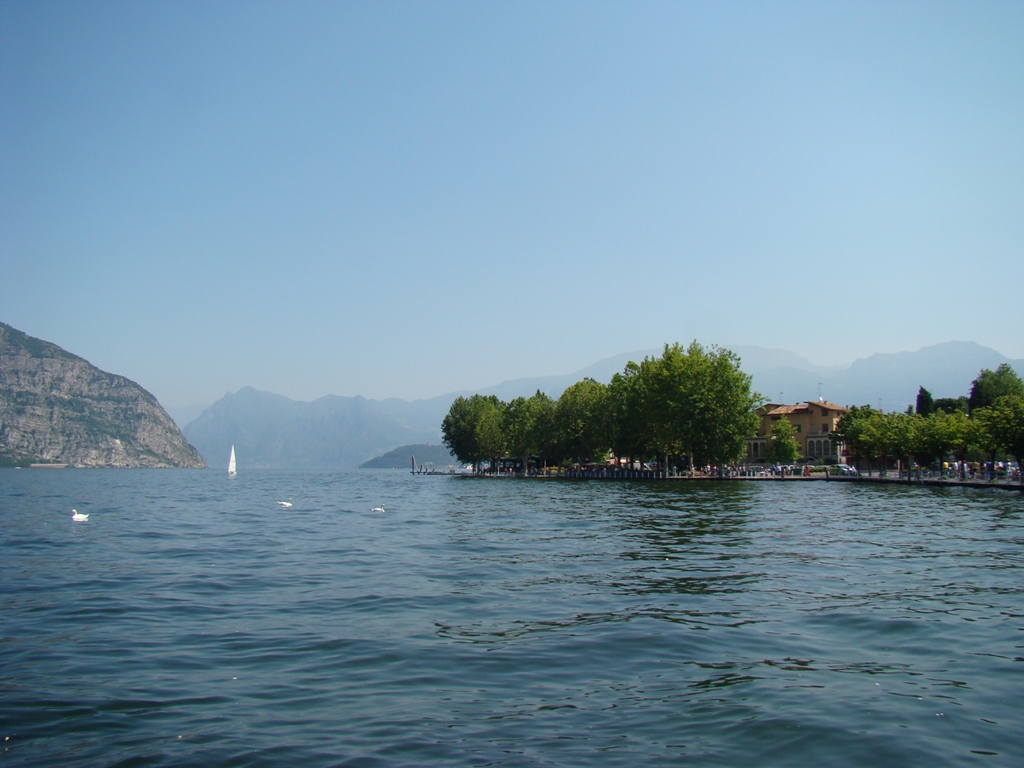 Like iseo 1