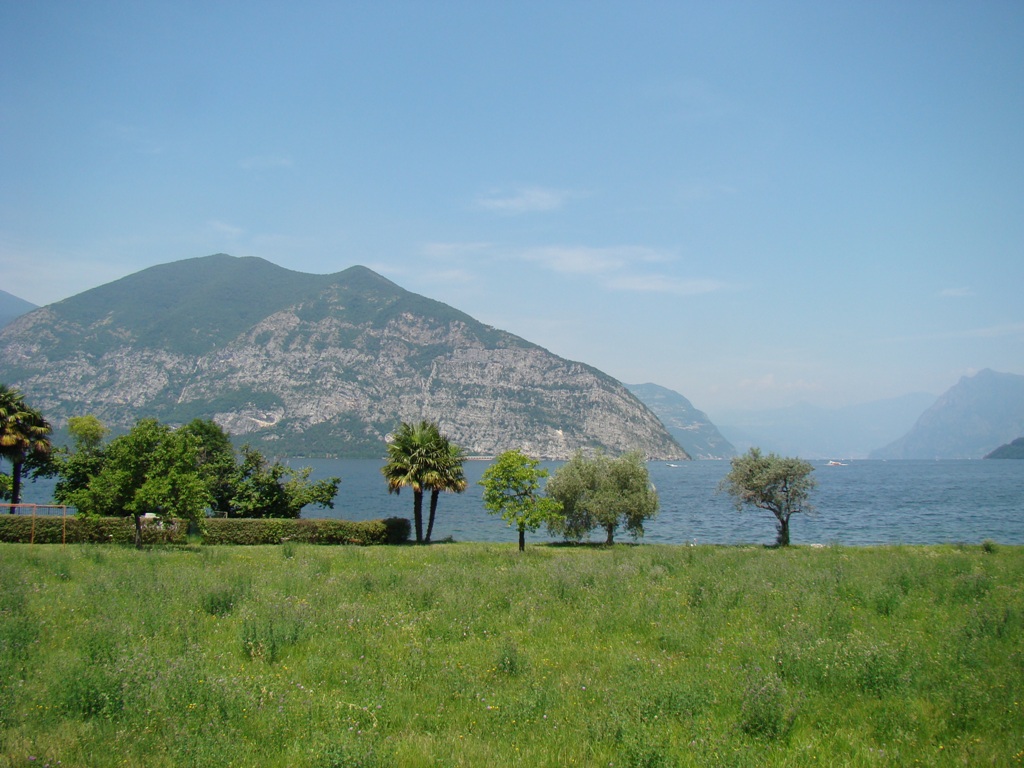 Like iseo 7